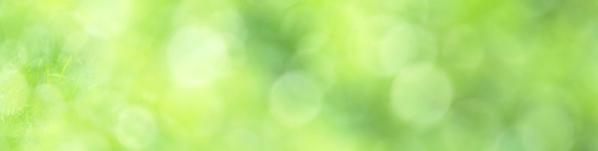 ご予約・お問合せ